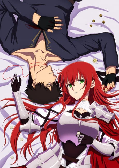Póster de Himekishi-sama no Himo